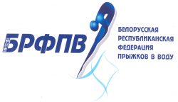 Логотип партнера