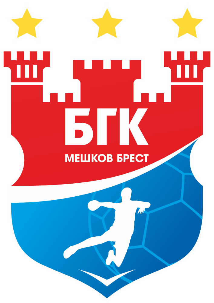 Логотип партнера